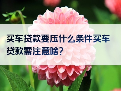 买车贷款要压什么条件买车贷款需注意啥？