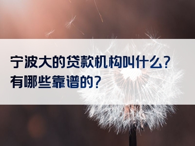 宁波大的贷款机构叫什么？有哪些靠谱的？