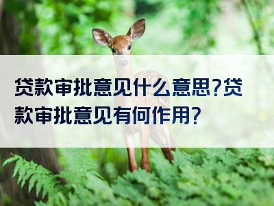 贷款审批意见什么意思？贷款审批意见有何作用？