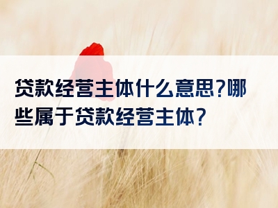 贷款经营主体什么意思？哪些属于贷款经营主体？