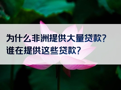 为什么非洲提供大量贷款？谁在提供这些贷款？