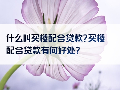 什么叫买楼配合贷款？买楼配合贷款有何好处？