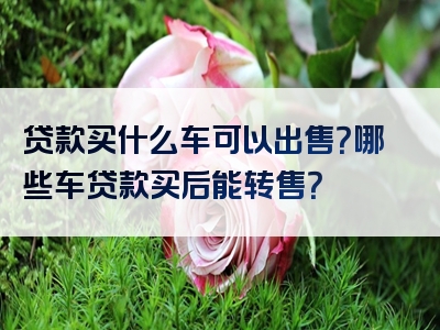 贷款买什么车可以出售？哪些车贷款买后能转售？