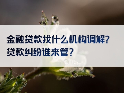 金融贷款找什么机构调解？贷款纠纷谁来管？