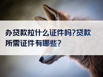 办贷款拉什么证件吗？贷款所需证件有哪些？