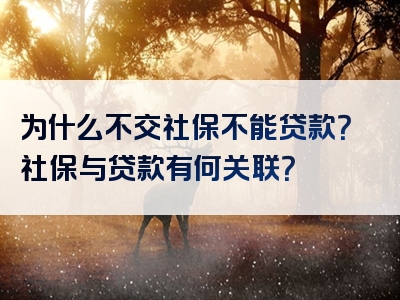 为什么不交社保不能贷款？社保与贷款有何关联？