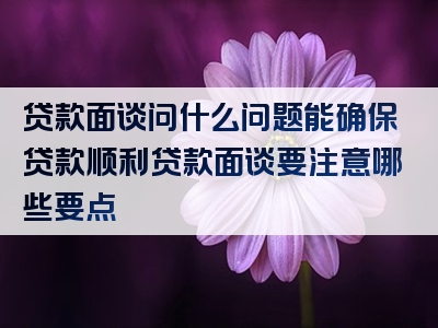 贷款面谈问什么问题能确保贷款顺利贷款面谈要注意哪些要点