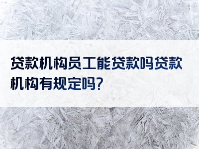 贷款机构员工能贷款吗贷款机构有规定吗？