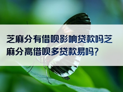 芝麻分有借呗影响贷款吗芝麻分高借呗多贷款易吗？