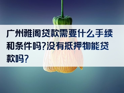 广州雅阁贷款需要什么手续和条件吗？没有抵押物能贷款吗？