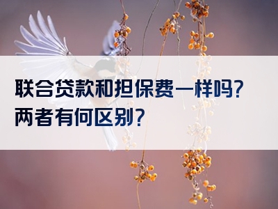 联合贷款和担保费一样吗？两者有何区别？