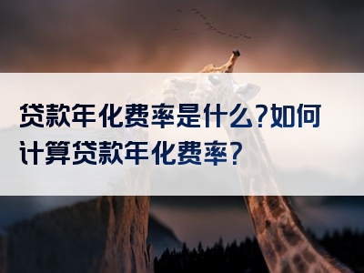 贷款年化费率是什么？如何计算贷款年化费率？