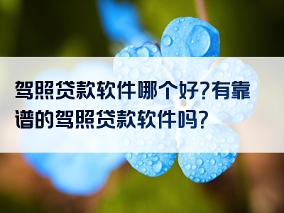 驾照贷款软件哪个好？有靠谱的驾照贷款软件吗？