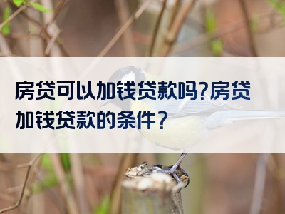 房贷可以加钱贷款吗？房贷加钱贷款的条件？