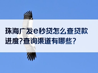 珠海广发e秒贷怎么查贷款进度？查询渠道有哪些？