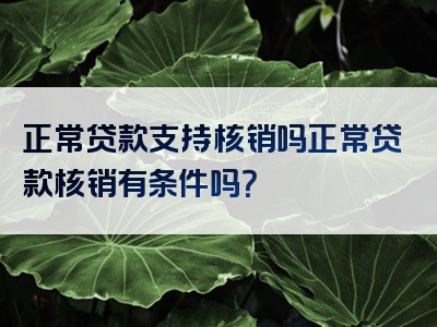 正常贷款支持核销吗正常贷款核销有条件吗？