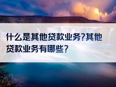 什么是其他贷款业务？其他贷款业务有哪些？