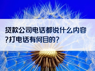 贷款公司电话都说什么内容？打电话有何目的？