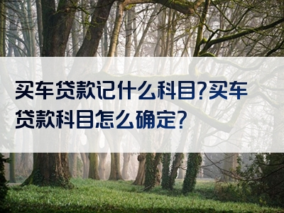 买车贷款记什么科目？买车贷款科目怎么确定？