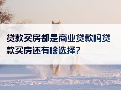 贷款买房都是商业贷款吗贷款买房还有啥选择？