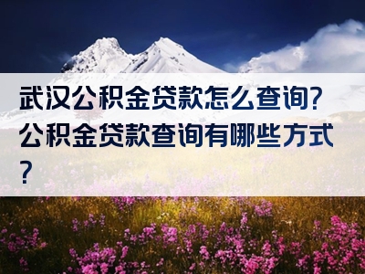 武汉公积金贷款怎么查询？公积金贷款查询有哪些方式？