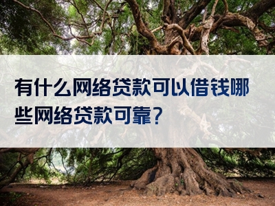 有什么网络贷款可以借钱哪些网络贷款可靠？