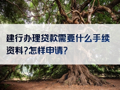 建行办理贷款需要什么手续资料？怎样申请？