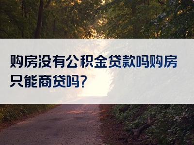 购房没有公积金贷款吗购房只能商贷吗？