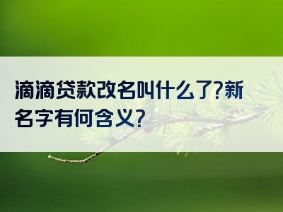 滴滴贷款改名叫什么了？新名字有何含义？