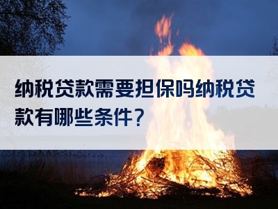 纳税贷款需要担保吗纳税贷款有哪些条件？