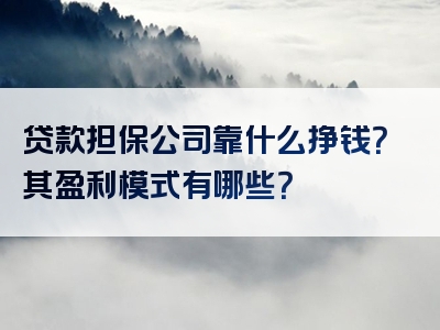 贷款担保公司靠什么挣钱？其盈利模式有哪些？