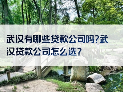 武汉有哪些贷款公司吗？武汉贷款公司怎么选？