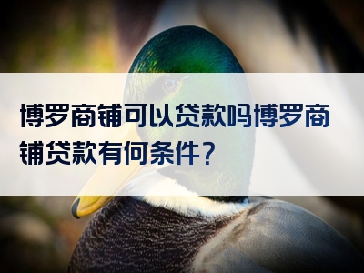 博罗商铺可以贷款吗博罗商铺贷款有何条件？