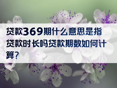 贷款369期什么意思是指贷款时长吗贷款期数如何计算？