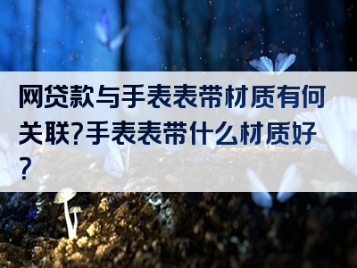 网贷款与手表表带材质有何关联？手表表带什么材质好？