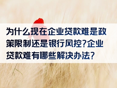 为什么现在企业贷款难是政策限制还是银行风控？企业贷款难有哪些解决办法？