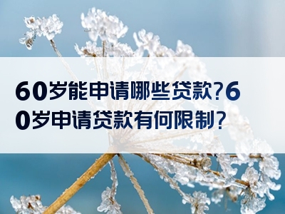 60岁能申请哪些贷款？60岁申请贷款有何限制？