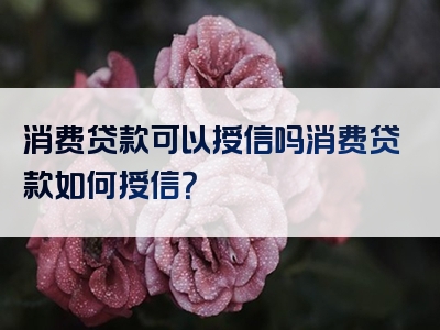 消费贷款可以授信吗消费贷款如何授信？