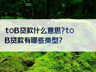 toB贷款什么意思？toB贷款有哪些类型？