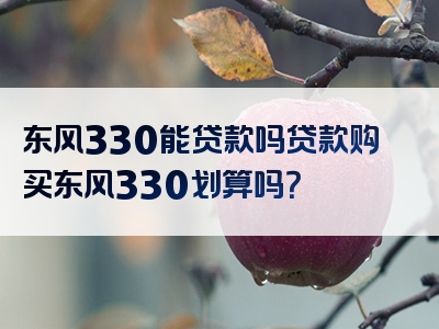 东风330能贷款吗贷款购买东风330划算吗？