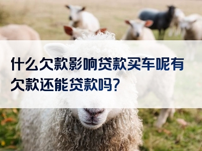 什么欠款影响贷款买车呢有欠款还能贷款吗？