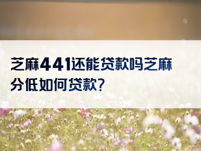 芝麻441还能贷款吗芝麻分低如何贷款？