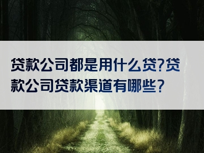 贷款公司都是用什么贷？贷款公司贷款渠道有哪些？