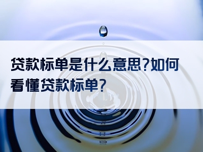 贷款标单是什么意思？如何看懂贷款标单？