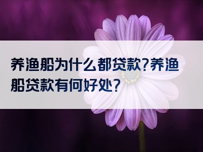 养渔船为什么都贷款？养渔船贷款有何好处？