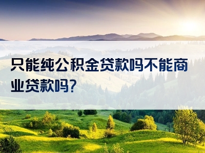 只能纯公积金贷款吗不能商业贷款吗？