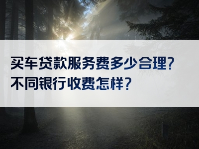 买车贷款服务费多少合理？不同银行收费怎样？