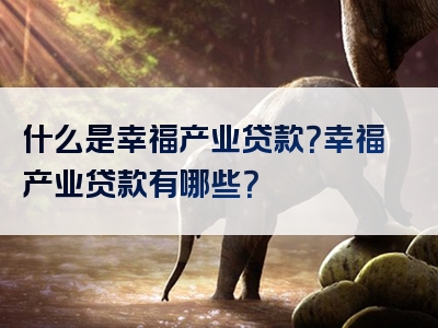 什么是幸福产业贷款？幸福产业贷款有哪些？