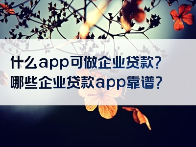 什么app可做企业贷款？哪些企业贷款app靠谱？