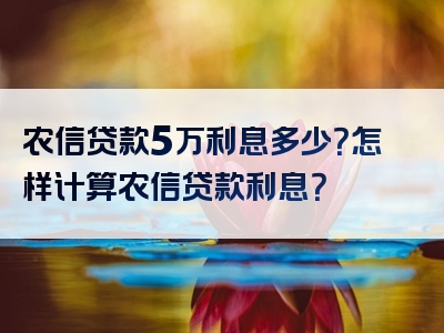 农信贷款5万利息多少？怎样计算农信贷款利息？